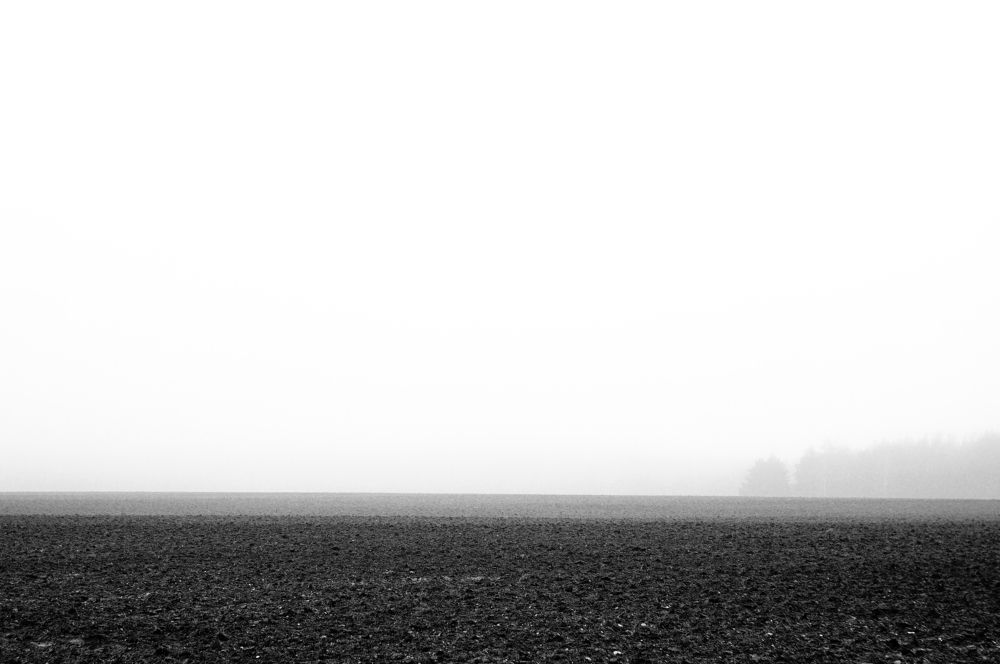 Фотография автора Роман Володащик