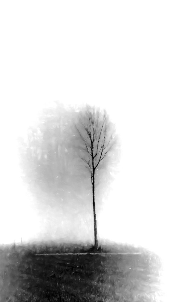 A chronicle of a sad life