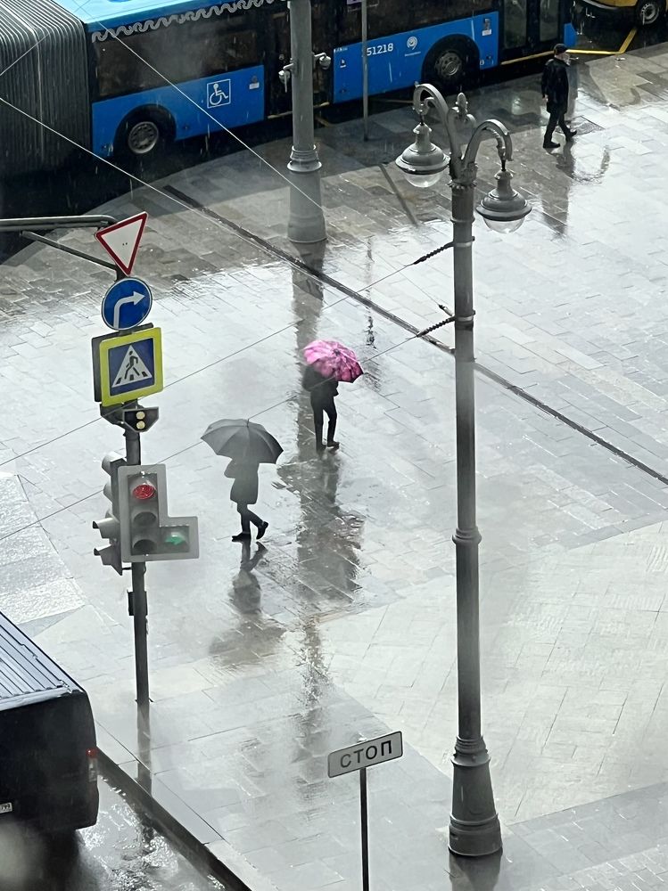 Фотография автора Наталья Васько -Черданцева