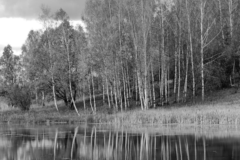 Photograph by Константин Лагоденко