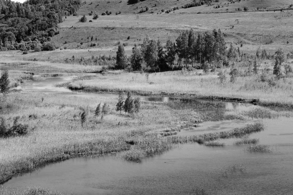 Photograph by Константин Лагоденко