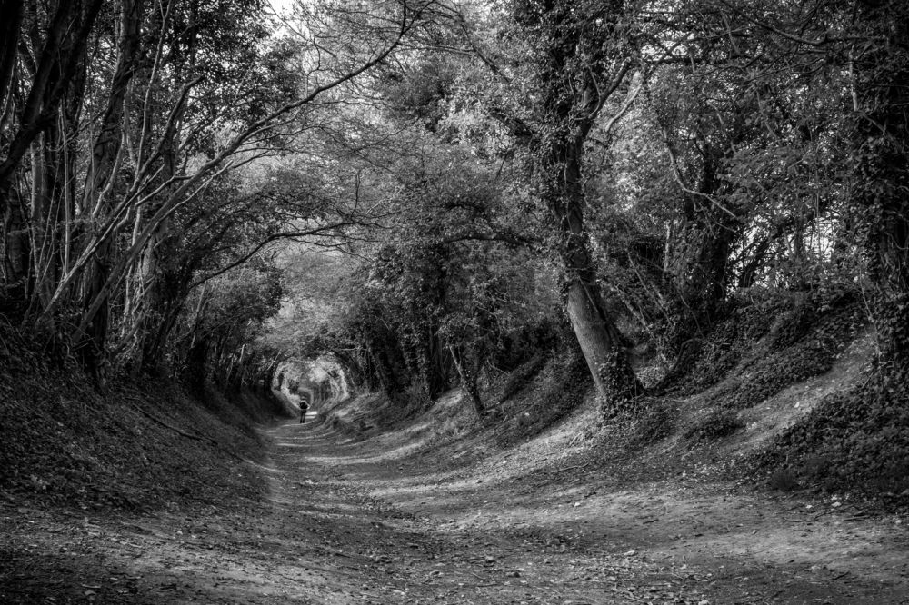 Photograph by Sergejs Barkans