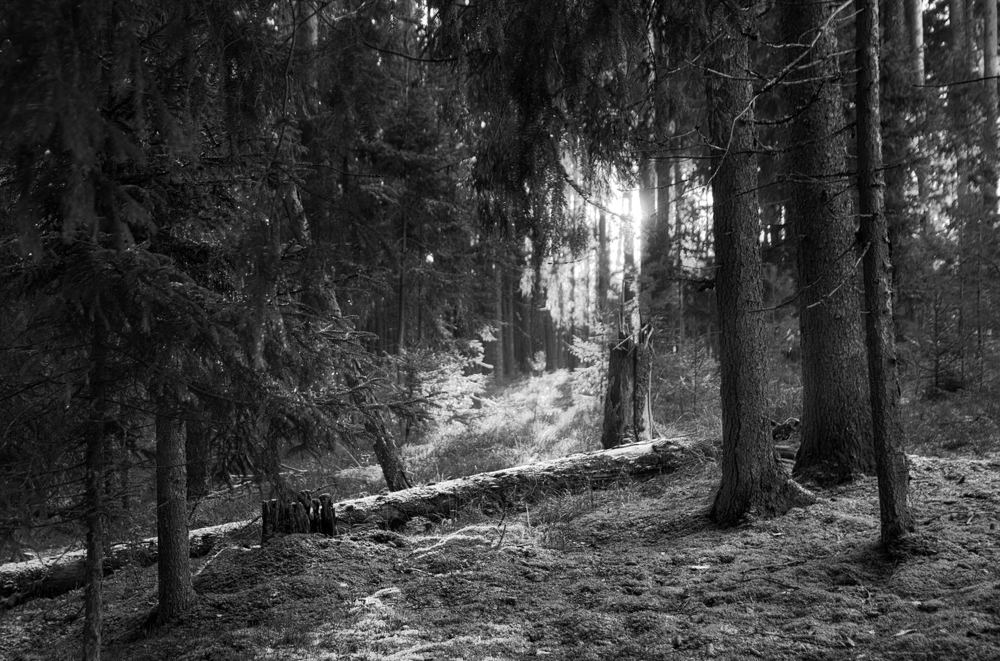 Photograph by German Jaska