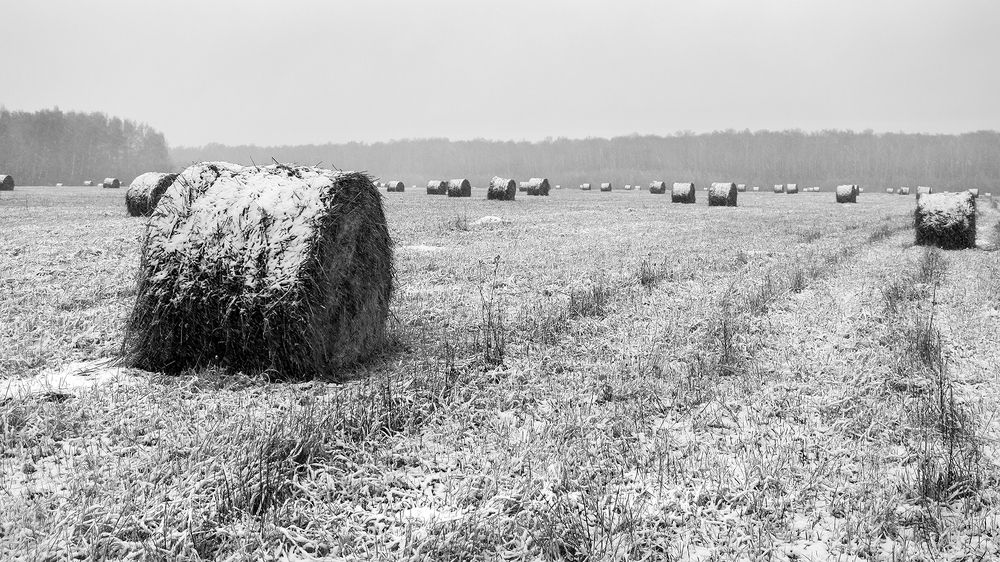 Photograph by Алексей Окунеев