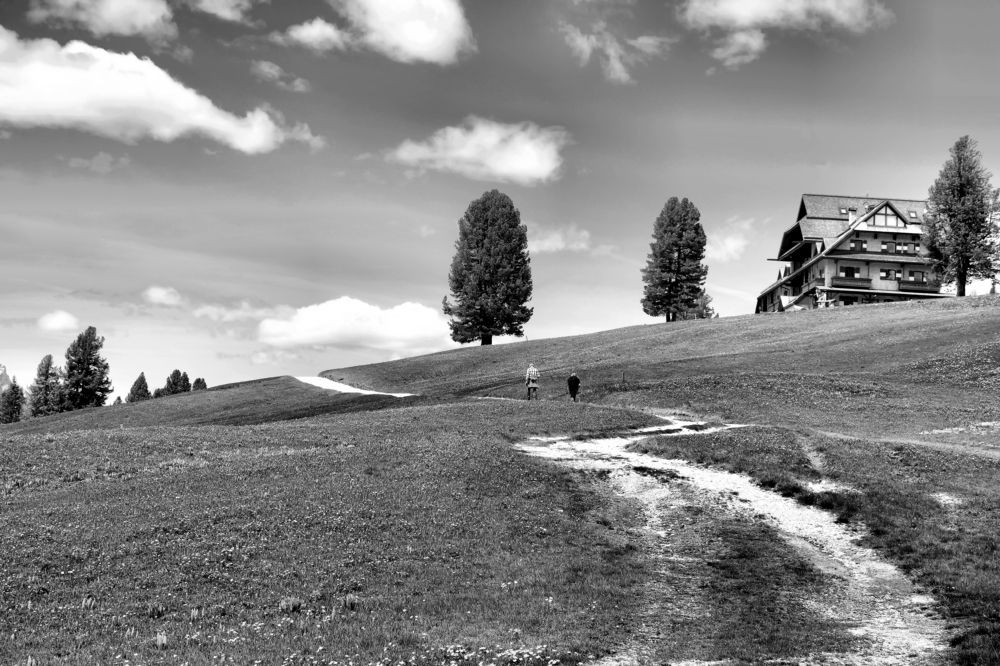 Фотография автора Dmitry