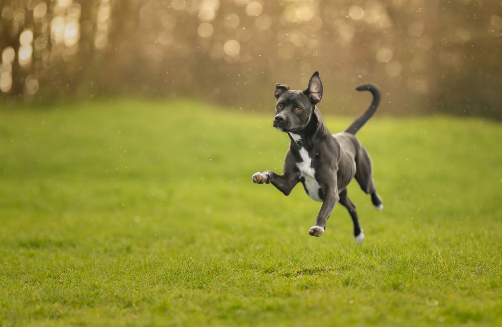 Photograph by Yong Lei van Barlingen