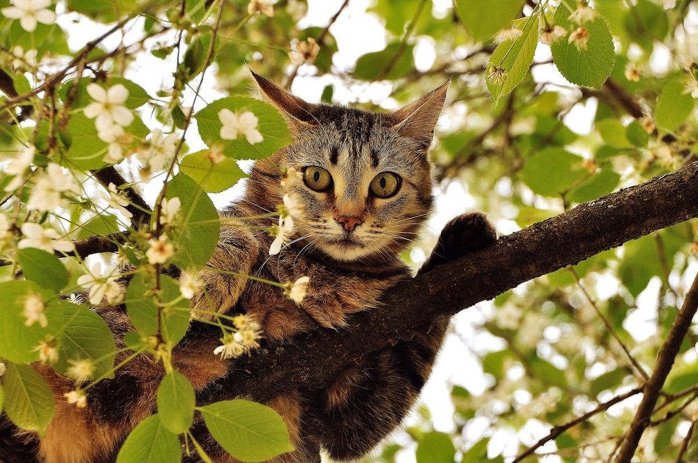 Photograph by Андрей Михайлин