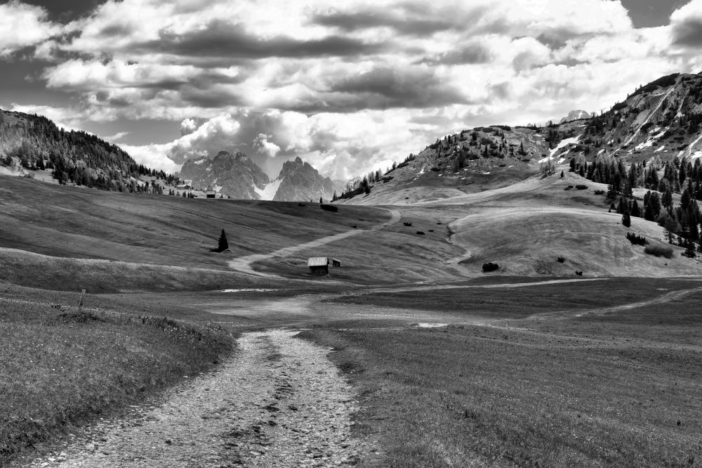 пастбище в Альпах