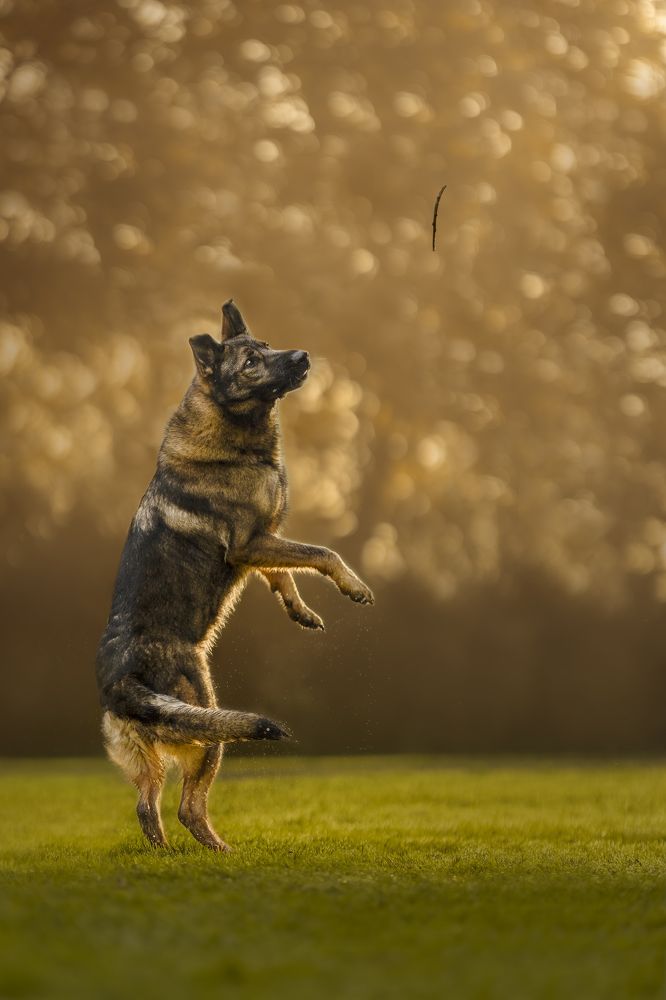 Photograph by Yong Lei van Barlingen