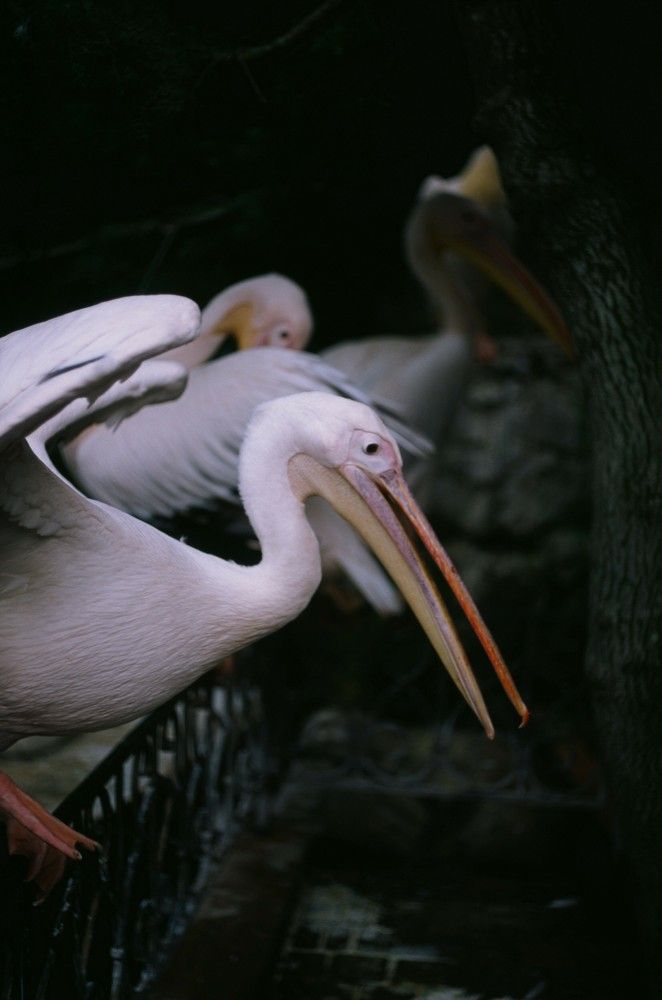 Photograph by Василий Селиванов