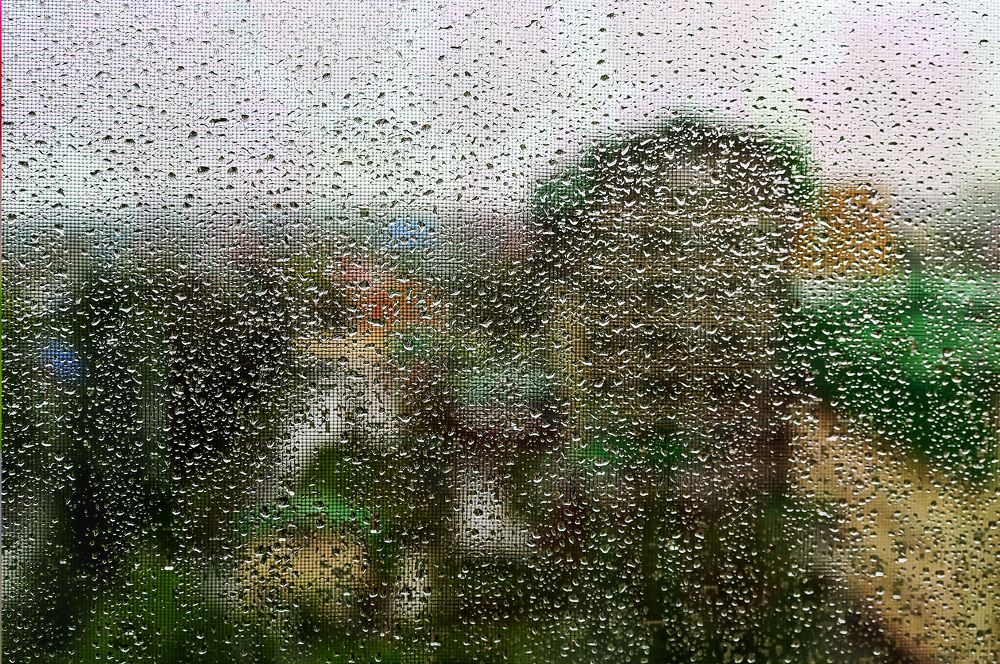 Photograph by Иван Логвинов