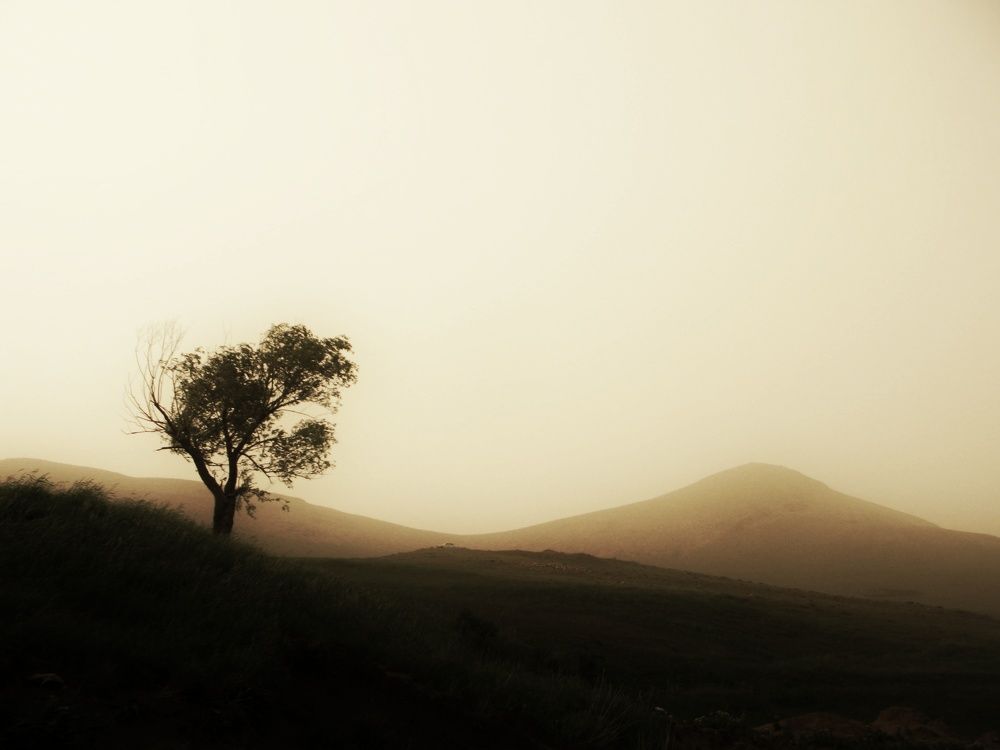 Photo #7610145