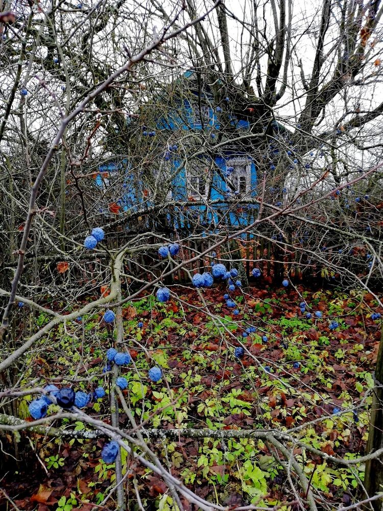 Photograph by Даркина Дарья