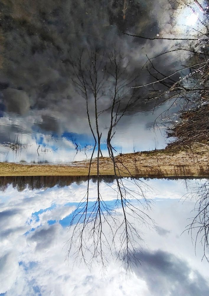 Photograph by Даркина Дарья