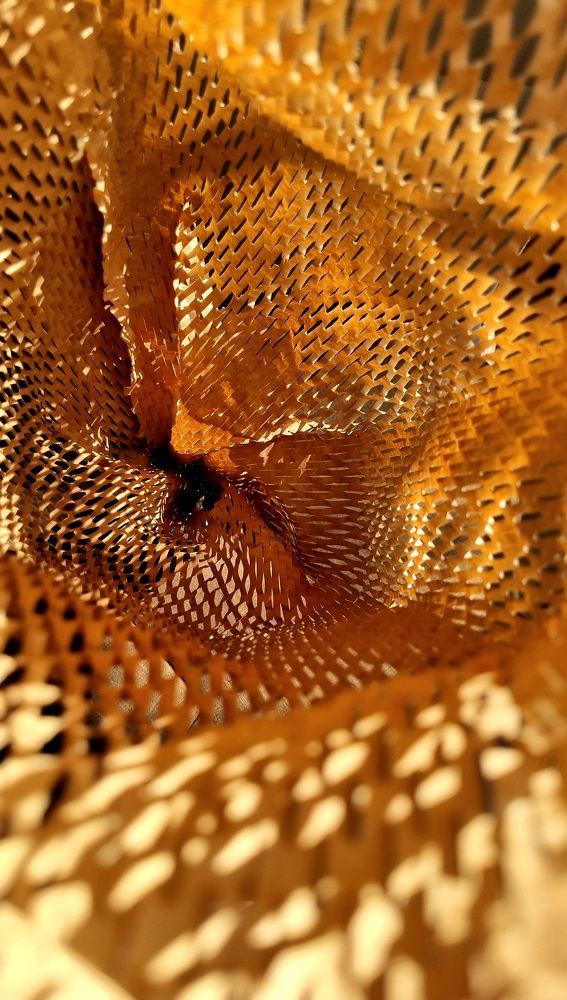 Photograph by Hanna Bourne