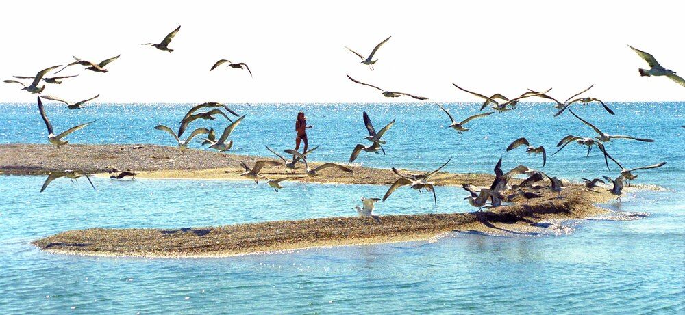 Photograph by Сергей Табатчиков