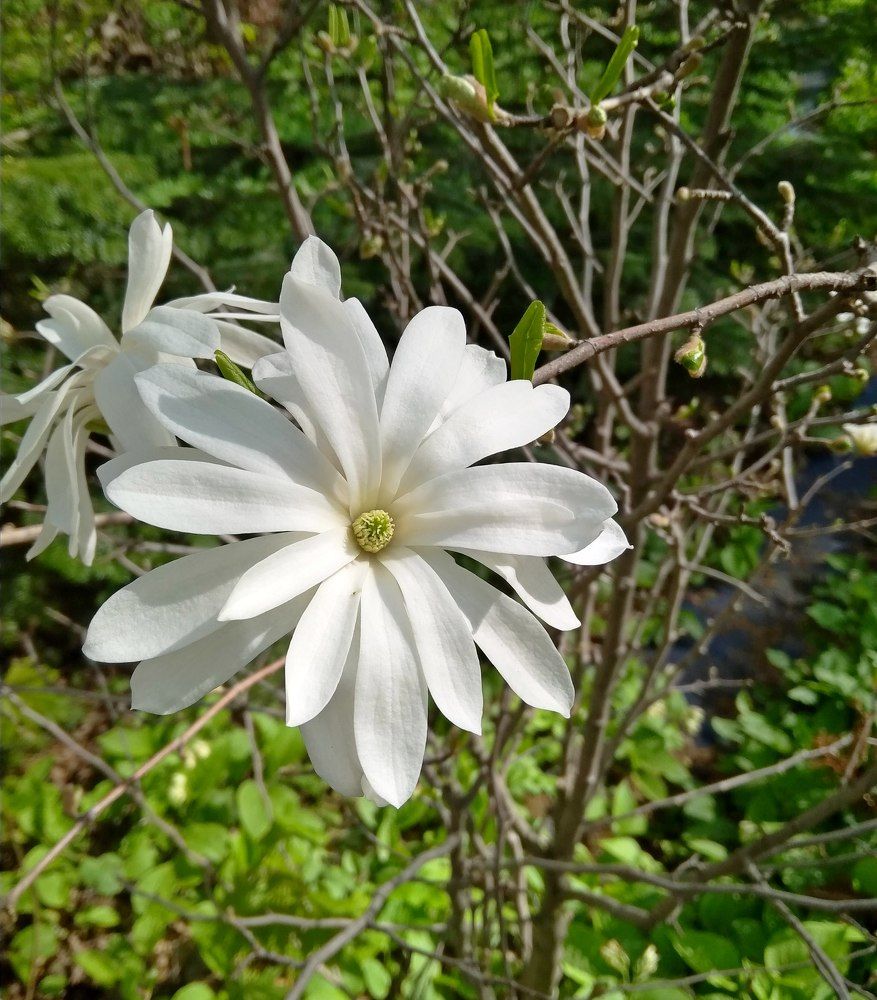 Photograph by Елена