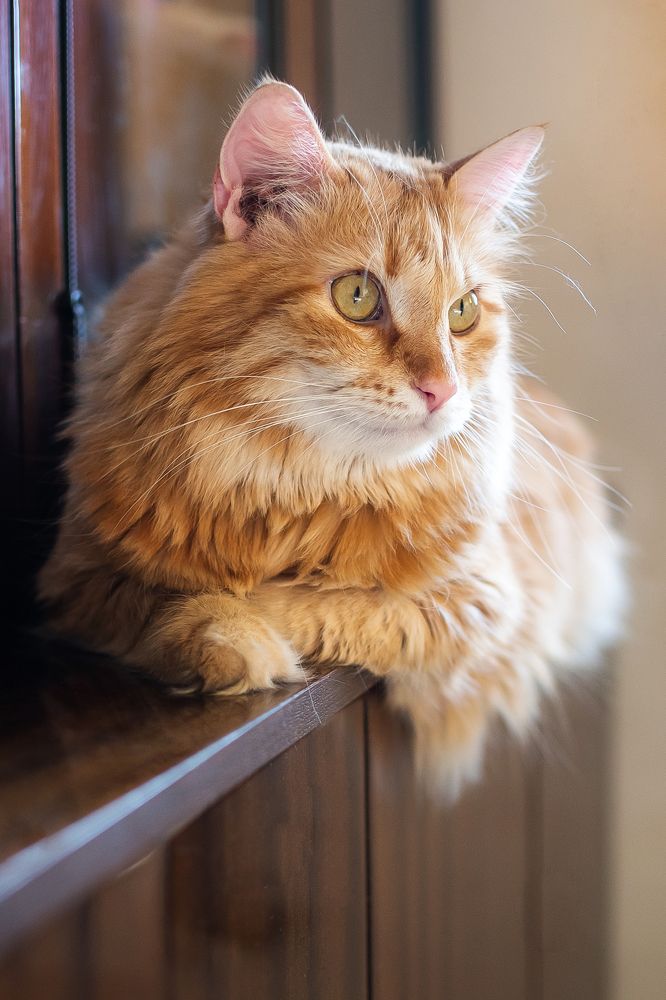 Photograph by Ирина Никифорова