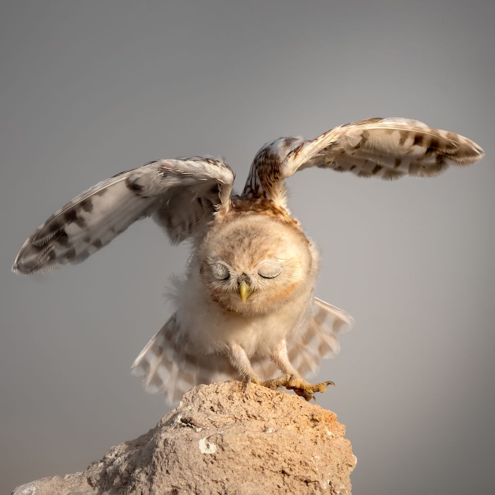 Photograph by miras mc