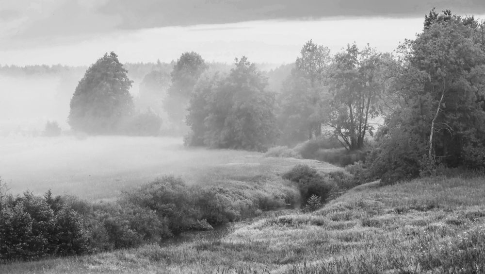 Photograph by Александр Чибиркин