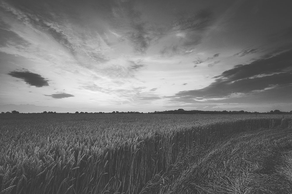 Photograph by Трайко Байко