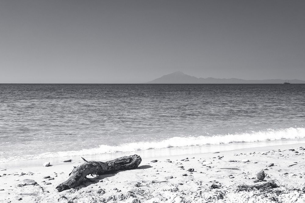 Photograph by Daniel Chobanov