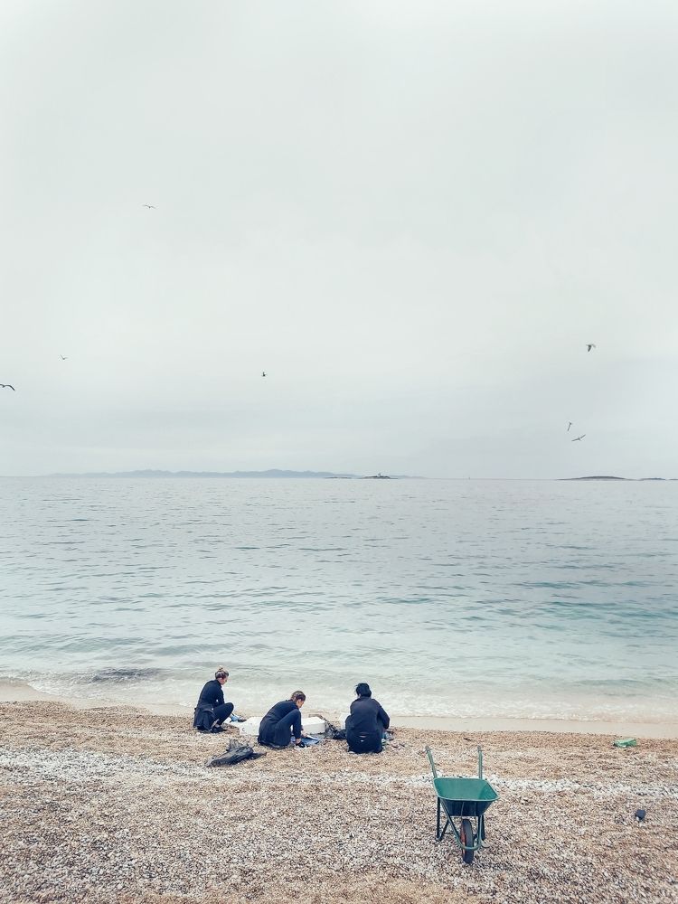 Photograph by Елизавета Рембицкая