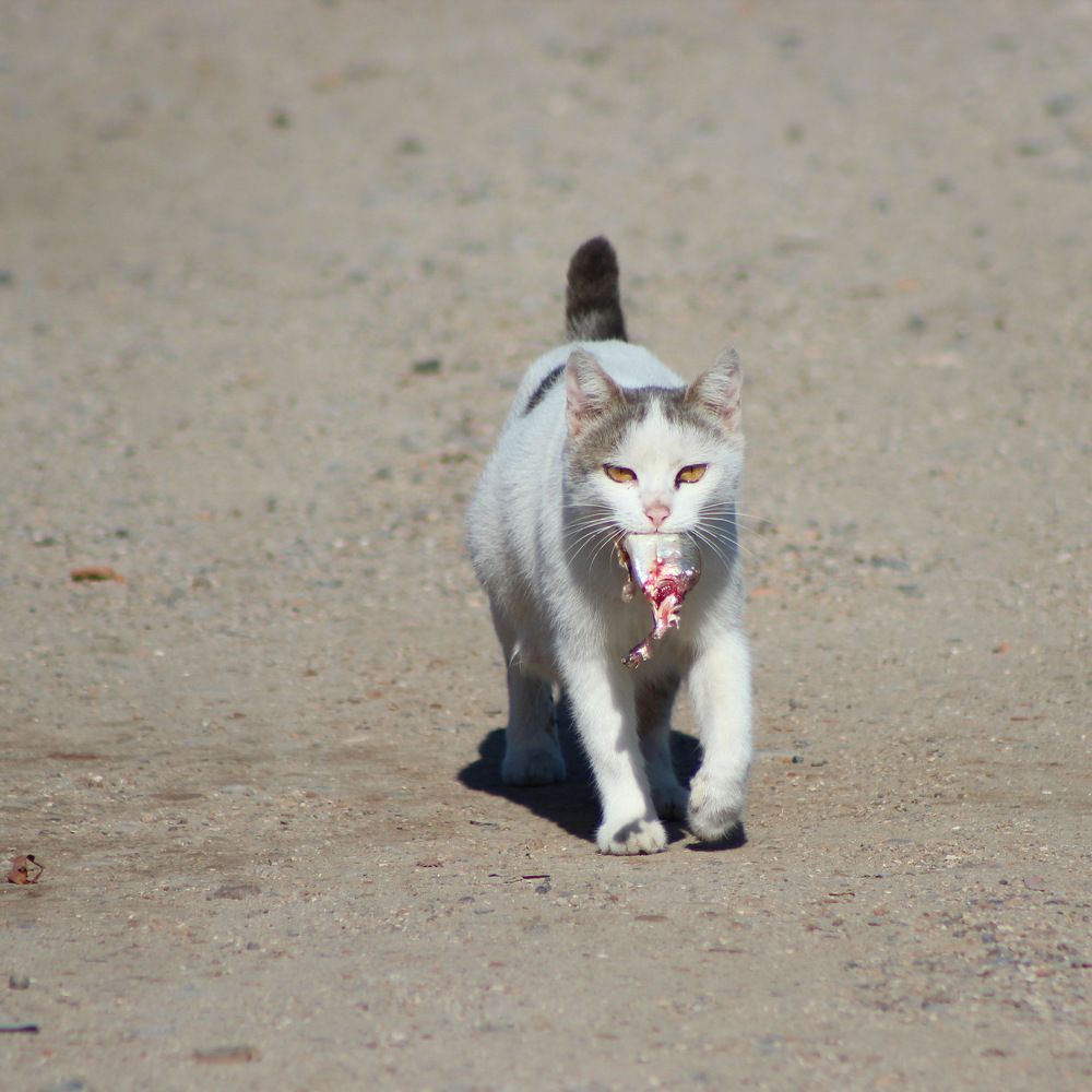 Photograph by Александра Тимошенко