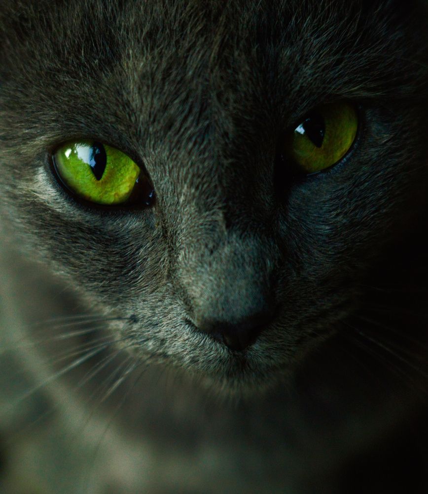 Photograph by Константин Бокарев