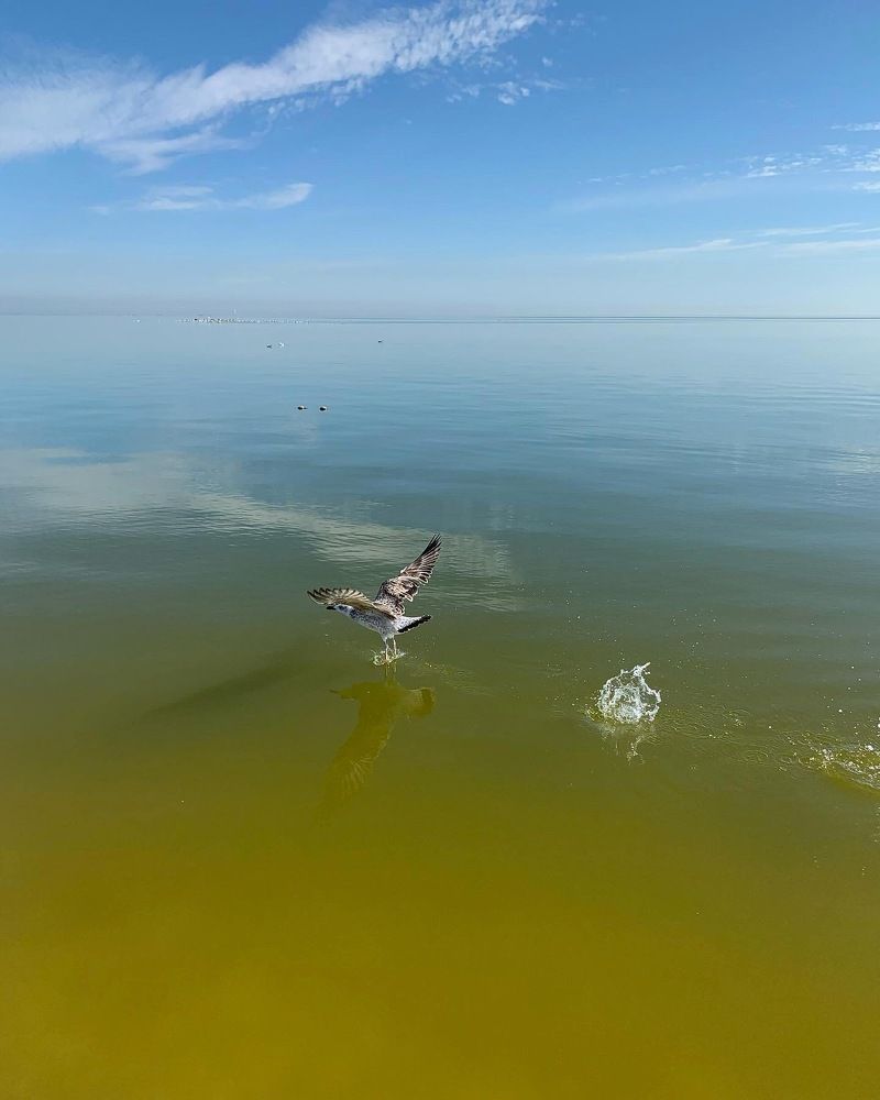 Photograph by Александра Тимошенко