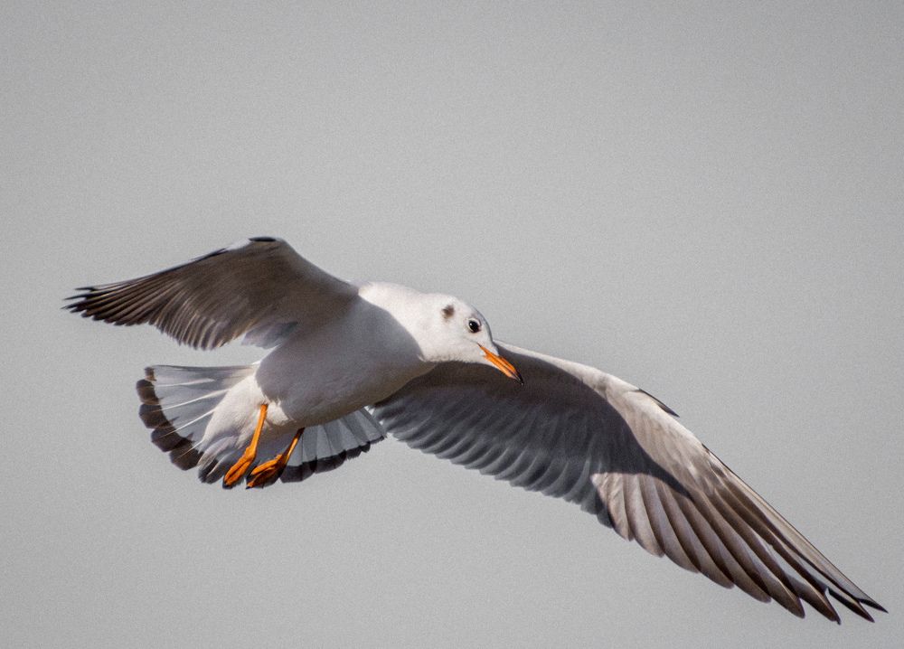 Photograph by Константин Бокарев