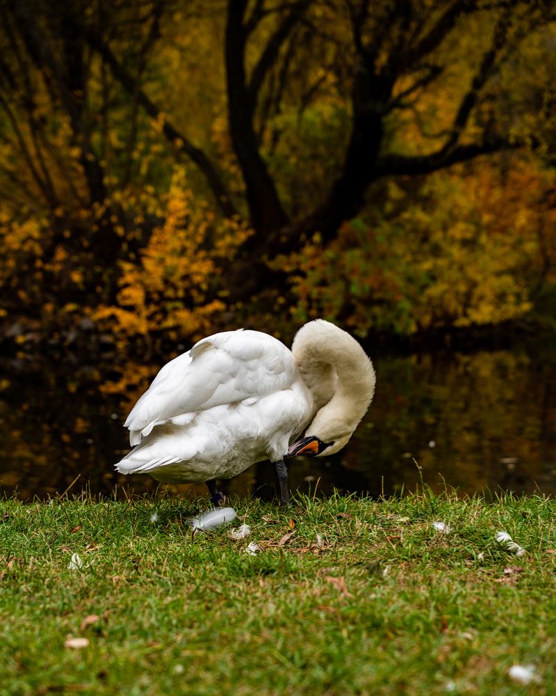 Фотография автора Кирилл Литовский