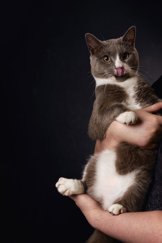 Photograph by Борис Ли