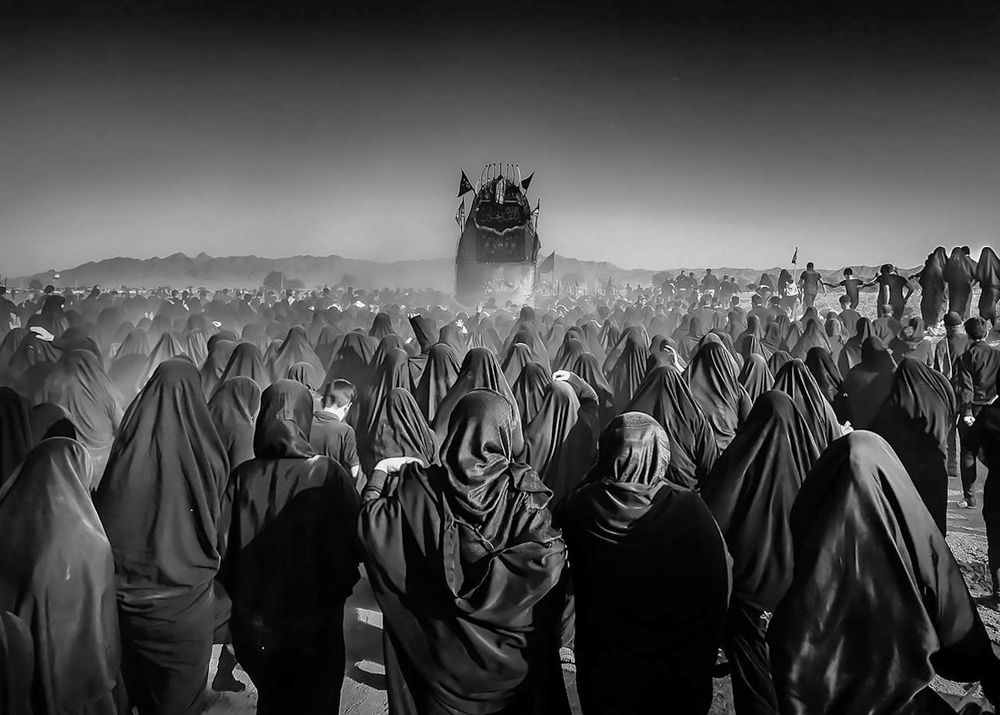 Фотография автора Mojtaba Gitinezhad