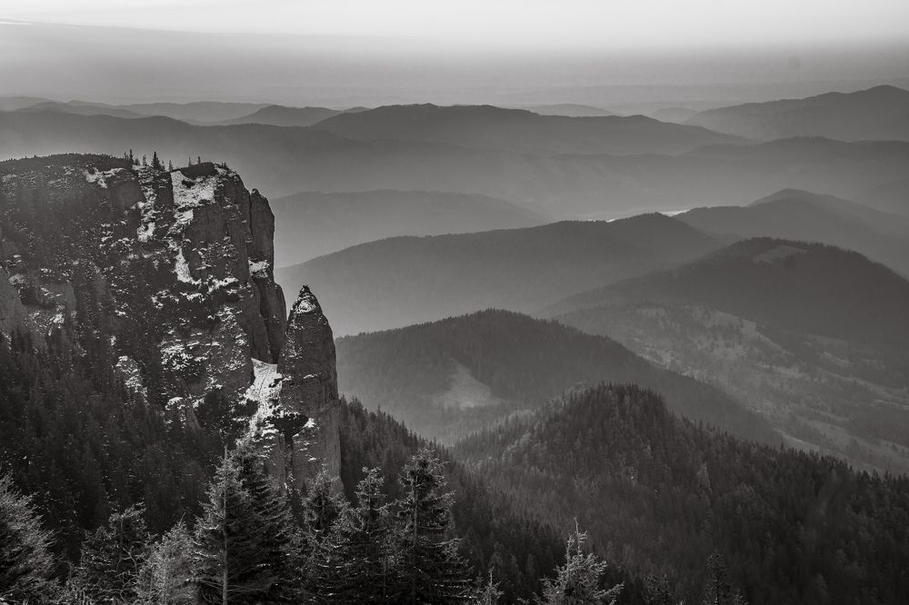 Photograph by Cosma Laura