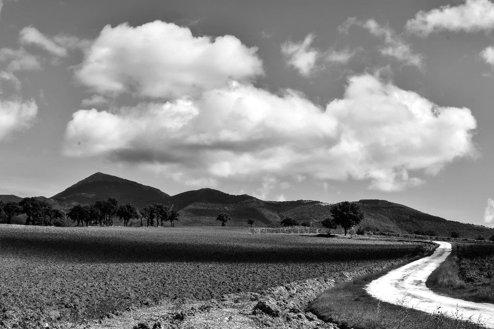 Photograph by Paolo Pierucci