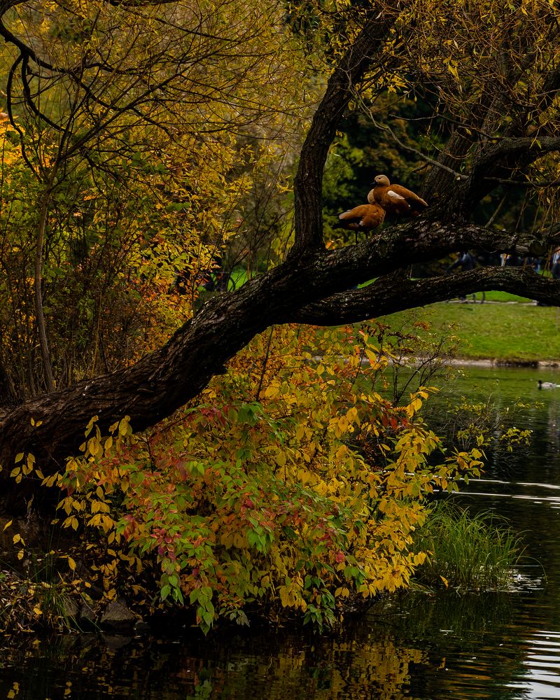Фотография автора Кирилл Литовский