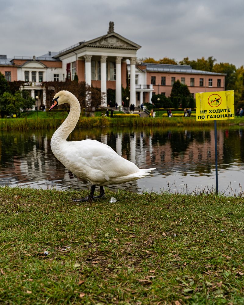 Фотография автора Кирилл Литовский