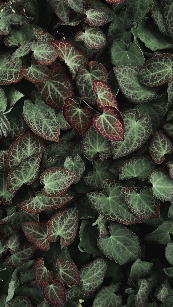 Photograph by Марина Райх