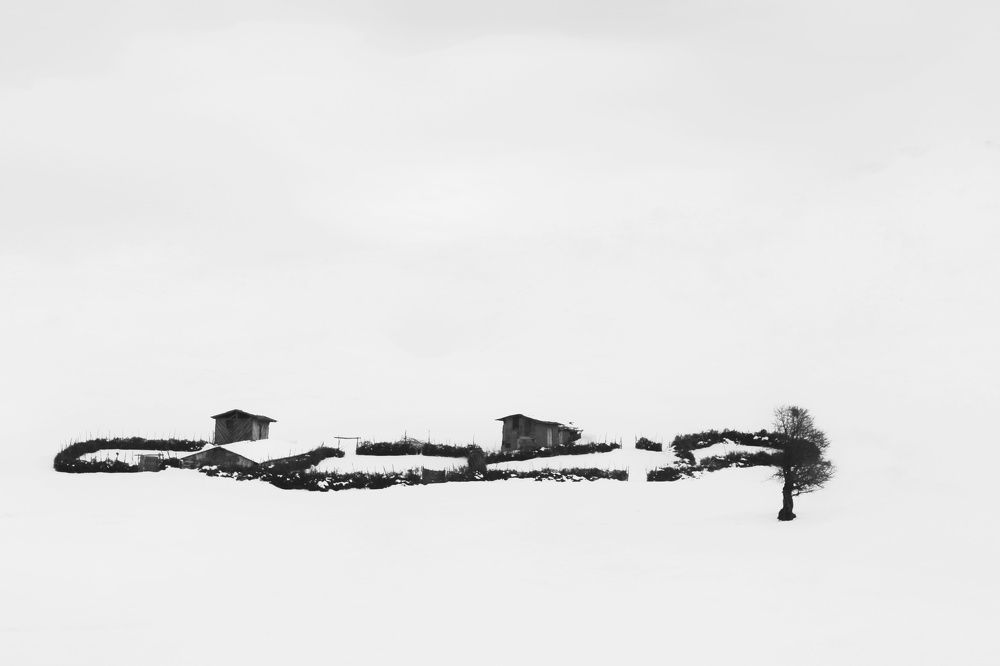 Photograph by Masoumeh Rahimi