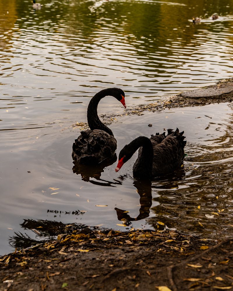 Фотография автора Кирилл Литовский