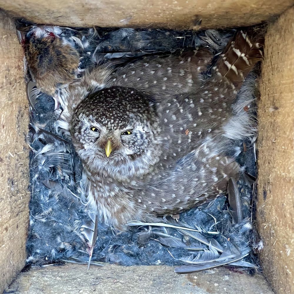 Photograph by Ольга Одаренко