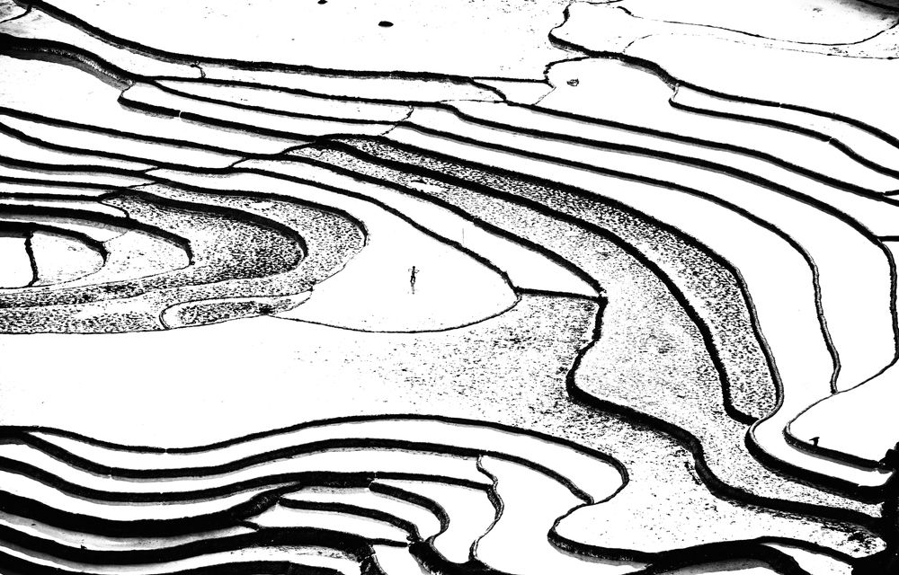 Photograph by son dam minh