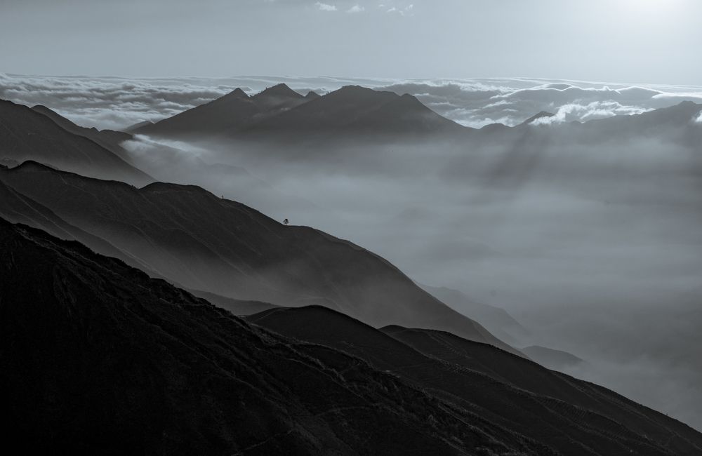 Photograph by son dam minh