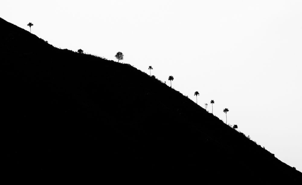 Photograph by son dam minh