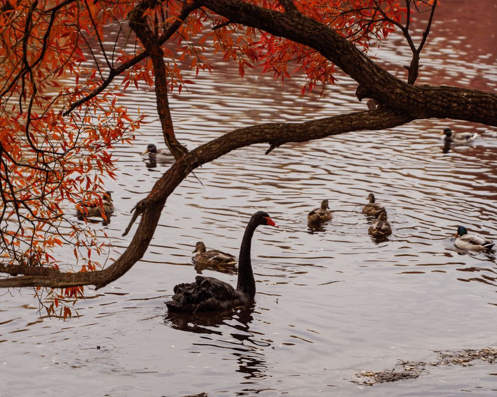 Фотография автора Кирилл Литовский