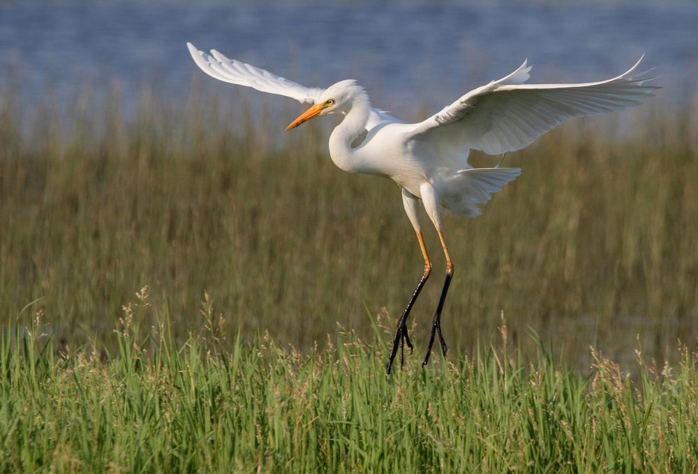 Photograph by Neil Venter