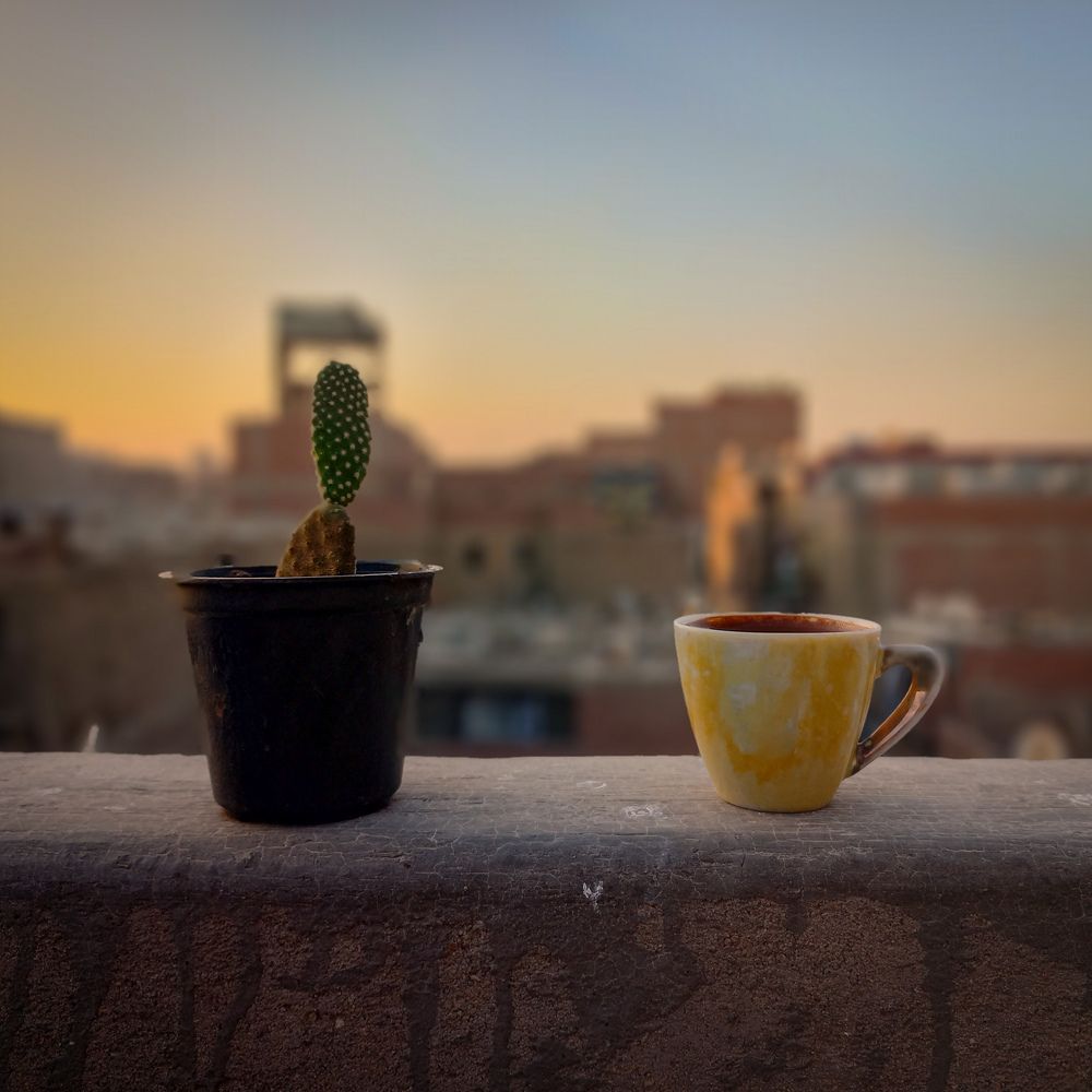 Photograph by Moomen