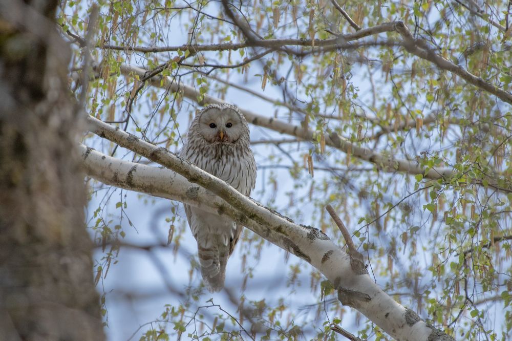 Photograph by Дарья Дрыночкина