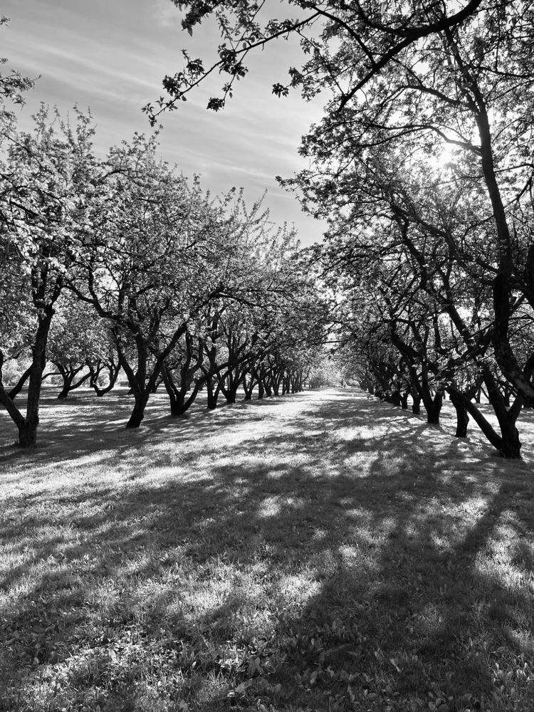 Photograph by Екатерина Валиуллина